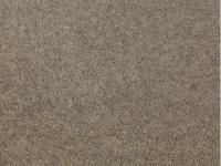 Jacaranda  Bilpar Oatmeal