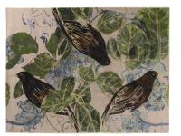 Jacaranda  Himalayan JC6729 Blackbirds