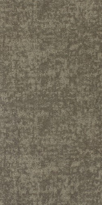 Ковровая плитка Neuflor Neuflor Arid Land 601501